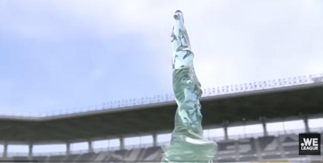 开云体育平台-男女两开花!浦和男足亚洲冠军 浦和女足称霸全国